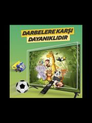 TV EKRAN KORUYUCU 50''